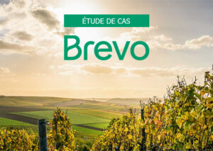 étude de cas mise en place d'une newsletter avec Brevo pour le commerce de proximité