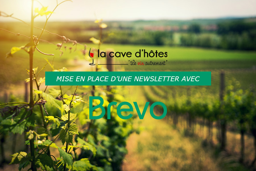 newsletter caviste avec Brevo